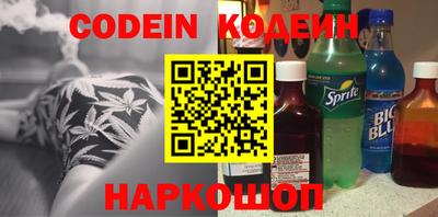СК Кингисепп