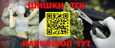 СК Кингисепп