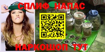 СК Кингисепп