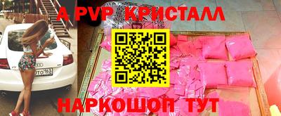 СК Кингисепп