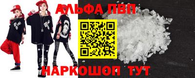 СК Кингисепп