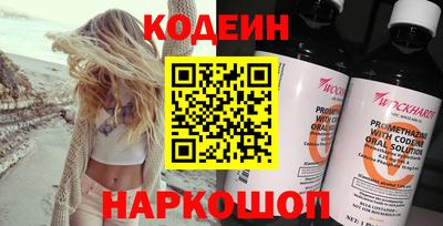 СК Кингисепп